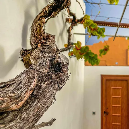 Holiday home Markethome Casa Jacinto